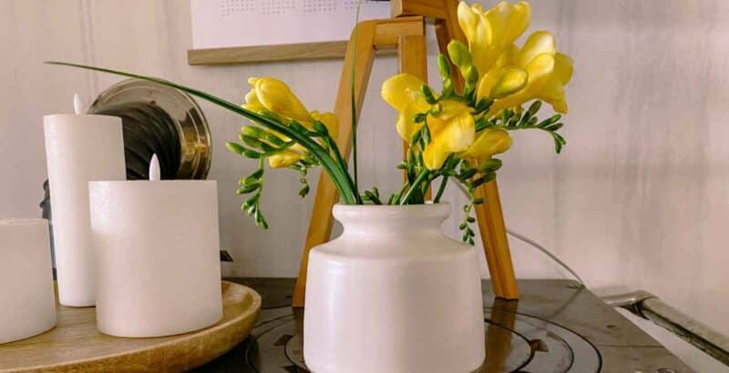 Friday-Flowerday von Sylt